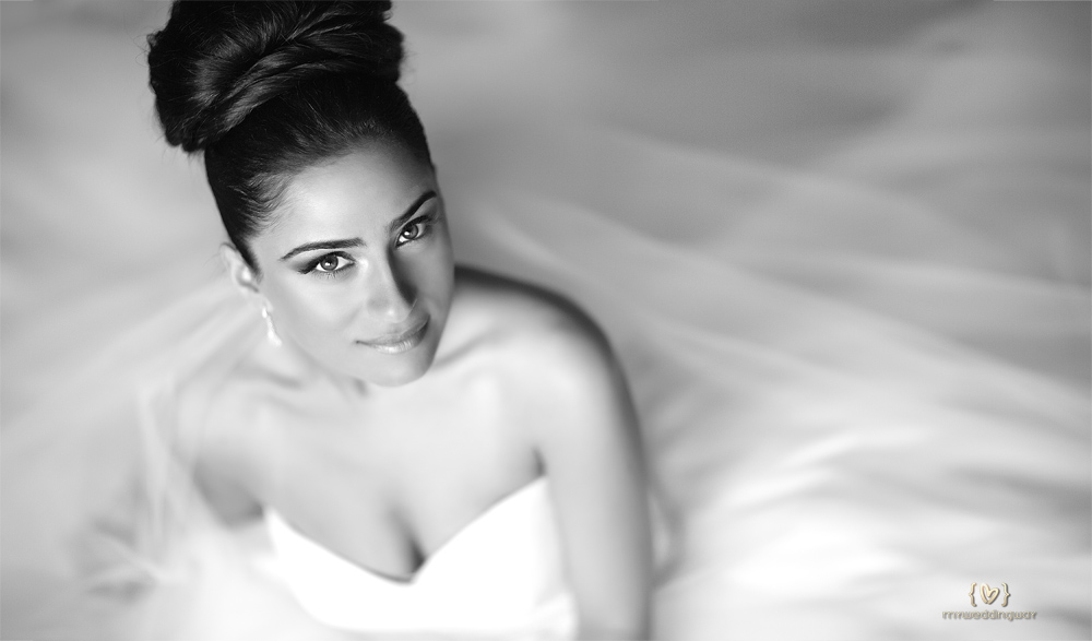 parisa-website