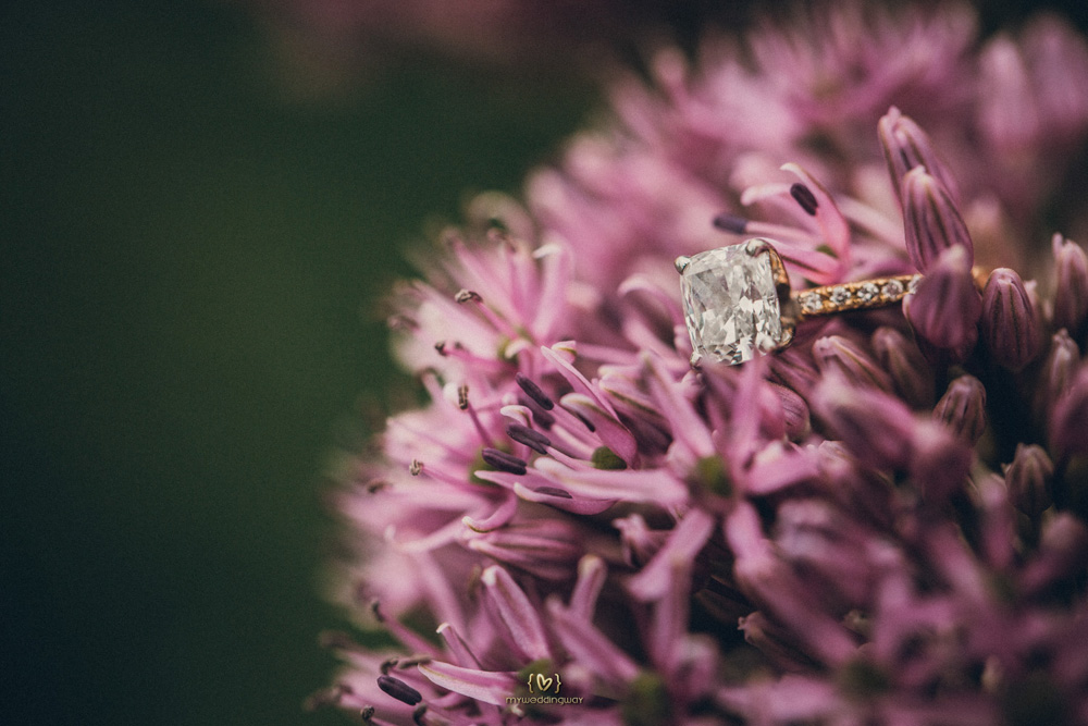 Suzanna+David. Long Island City Engagement Shoot